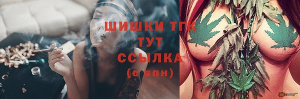 трава Иннополис