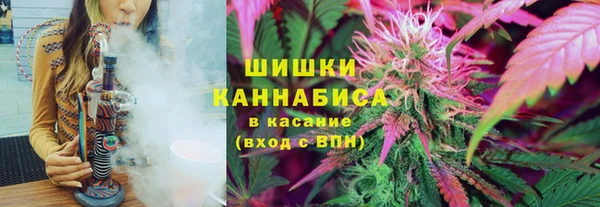трава Иннополис