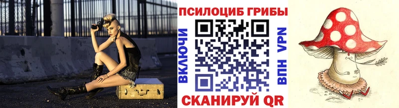 Псилоцибиновые грибы Psilocybe  Светлогорск 